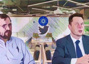 cardano-founder-invites-elon-musk-to-build-a-decentralized-social-network