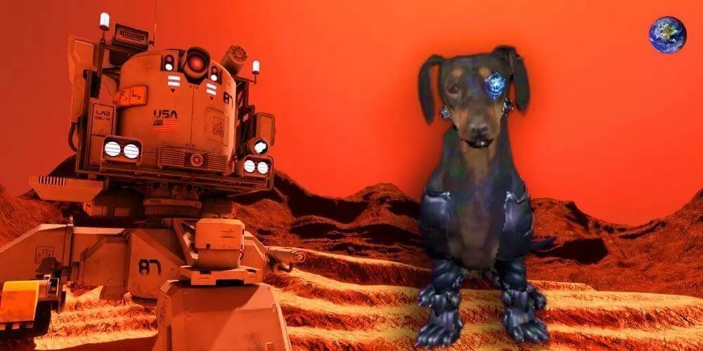 digital-dog-laika
