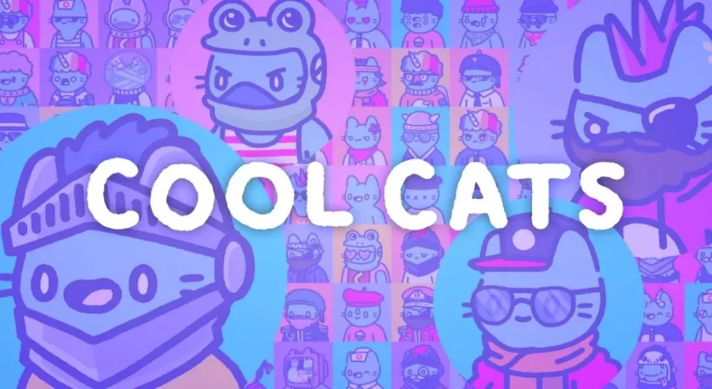 cool-cats-nft-project-ceo-steps-down-applications-open