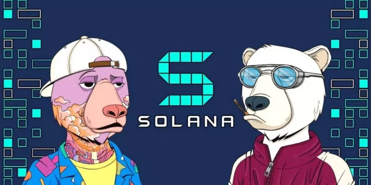 okay-bears-a-collection-of-nfts-in-solana-is-breaking-records