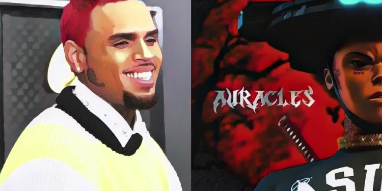 chris-brown-to-release-his-debut-nft-collection