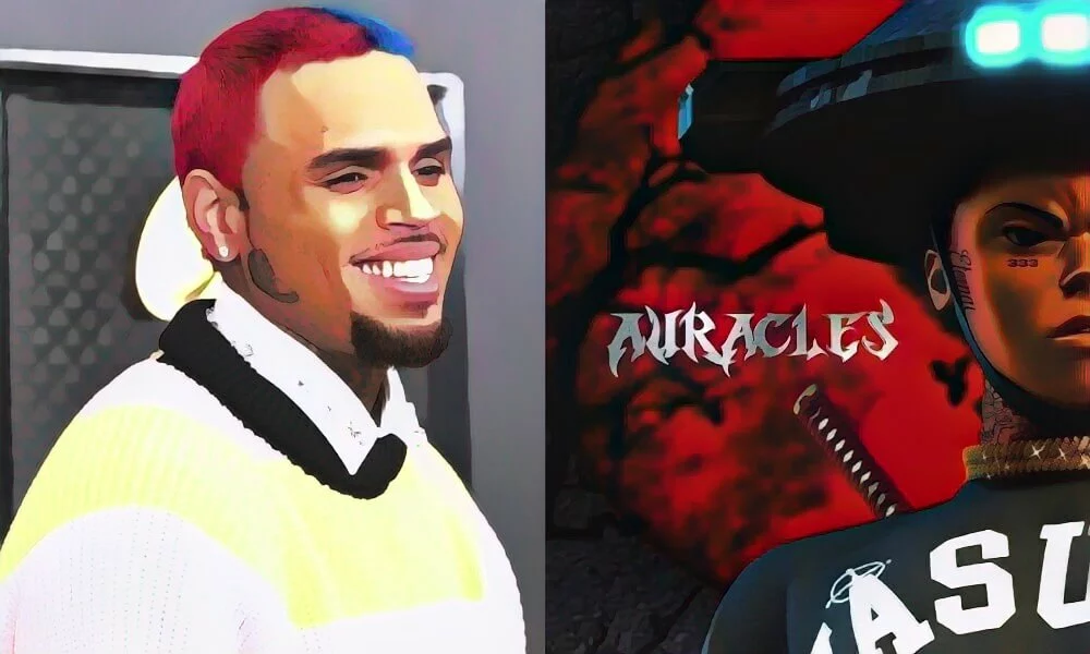 chris-brown-to-release-his-debut-nft-collection