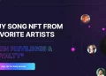 nft-music-marketplace-fantiger-completes-5-5m-round-led-by-multicon-capital
