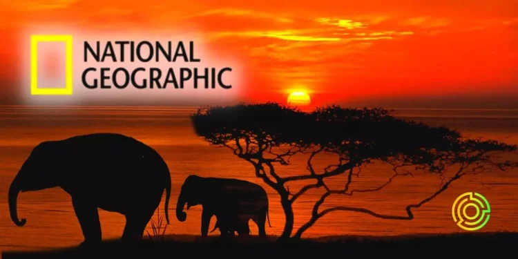 national-geographic-files-trademark-applications-to-launch-nfts-and-collectibles