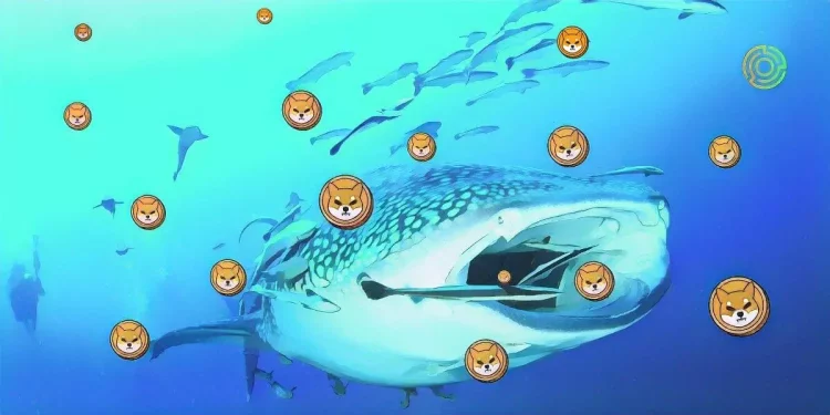 Shiba Inu (SHIB): Whales continue to buy in, Is a price hike coming? - ai agent shiba-inu-shib-whales-continue-to-buy-in-is-a-price-hike-coming