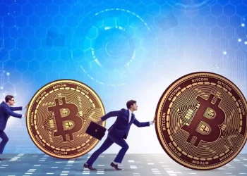 who-are-behind-the-rise-in-the-bitcoin-price-this-is-what-willy-woo-says