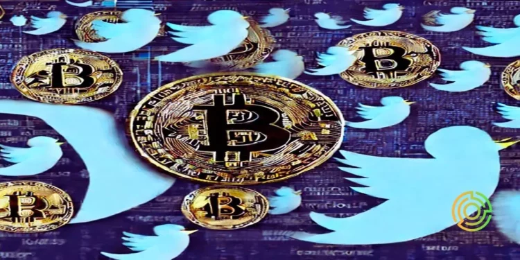 crypto-twitter-accounts-to-follow-in-2023