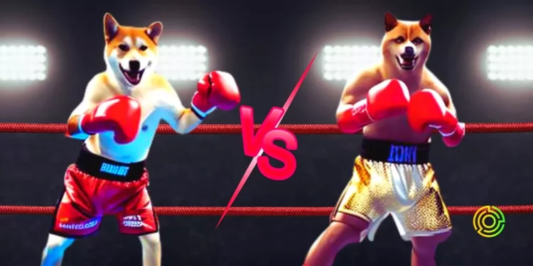 dogecoin-and-shiba-inu-what-will-happen-to-the-price-of-meme-tokens