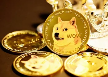 Exploring the Potential of Memecoin: A Look at Dogetti and Doge Rush