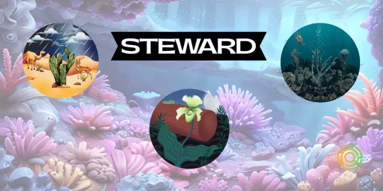 Steward Eco - Web3 Climate: Why 'Real' Art Lives on the Blockchain - steward Steward Eco - Web3 Climate: Why 'Real' Art Lives on the Blockchain