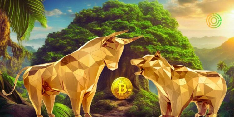 Bitcoin Weekly: Latest Updates and Highlights