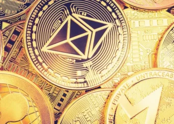 Altcoins on the Rise: Which Ones Will Dominate in 2024?
