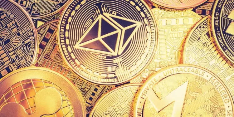 Altcoins on the Rise: Which Ones Will Dominate in 2024?